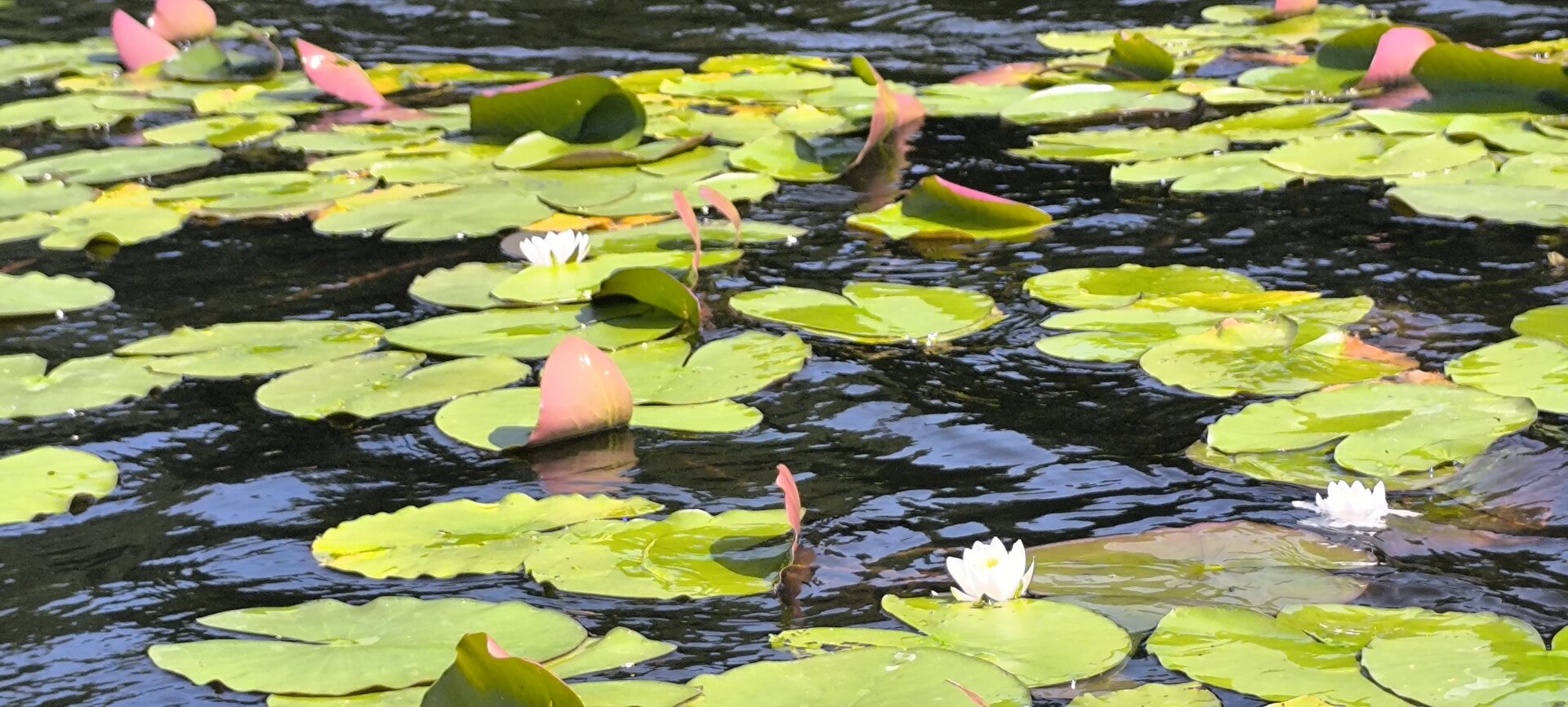 Masuria Resort Village - 26